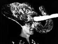 Dschungelbuch Theater Jrgen Braun